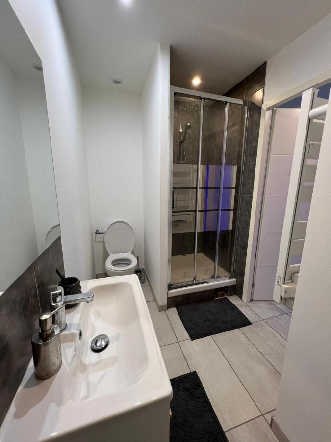 Superbe Appartement Roanne Eksteriør billede